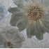 Πλακάκια δαπέδου και τοίχου Hidra flor  beige 2/4 33x33